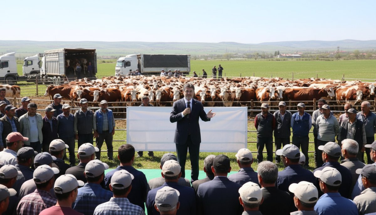 Bakan Yumaklı Duyurdu: 108 Bin Sığır Küçük Üreticiye Dağıtılıyor, Gelir Garantili Besicilik Projesi Başlıyor
