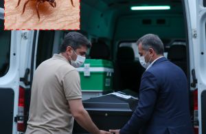 Sivas'ta Kene Kabusu: Tatil İçin Giden 31 Yaşındaki Kadın Hayatını Kaybetti
