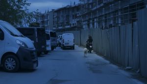 Motosikletin arkasına bağladığı köpeği metrelerce koşturdu: O sürücüye 8 bin 678 lira ceza kesildi