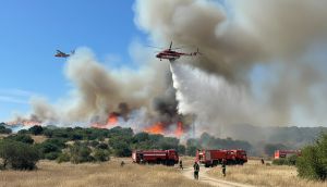 Çanakkale Ezine'de Orman Yangını: Havadan ve Karadan Müdahale Sürüyor