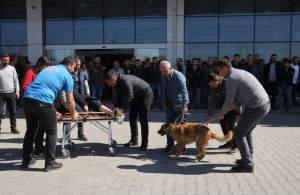 Elazığ'da dehşet: Kurt cinsi köpek peronda bekleyen kadına saldırdı