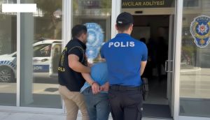 Avcılar'da Köpeğe Şiddet Uygulayan Kişi Gözaltına Alındı