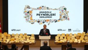 Bakan Tekin: 'Türkiye'nin Peynir Kültürü' projesiyle 472 peynir çeşidi derlendi, 88'i ilk kez kayıt altına alındı