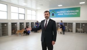 İçişleri Bakanı Mustafa Çiftçi: "Sahipsiz Sokak Köpeklerinin Tamamını Barınaklara Alacağız"