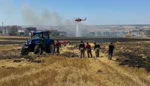 Silivri'de Yerleşim Yerlerini Tehdit Eden Yangın Söndürüldü