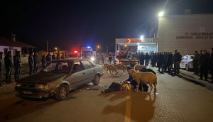 Van'da acı kaza: Otomobilin çarptığı baba hayatını kaybetti, oğlu yaralandı