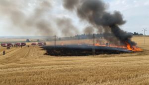 Tekirdağ'da 100 Dekar Buğday Ekili Alan Yangında Zarar Gördü