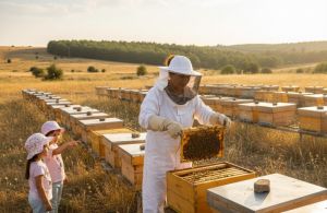 Doğal Bal İçin Arıcılığa Başlayan Anne 200 Kovanla Üretiyor
