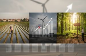 Tarım, enerji ve ormancılıkta reform paketi: Alkol yasakları genişletildi, çeltik mesafeleri yeniden düzenlendi