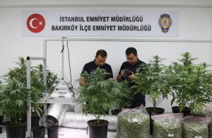İstanbul'da evini seraya çeviren zehir tacirleri yakalandı