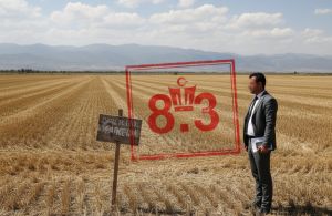 Mustafakemalpaşa'da 8,3 Milyon TL Değerinde Tarla İcra Satışına Çıkarıldı