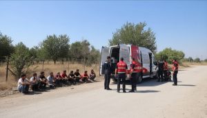 Edirne ve Kırklareli'nde Eş Zamanlı Operasyon: 13 Düzensiz Göçmen Yakalandı
