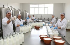 Türkiye'de ayran, yoğurt ve kefir üretimi 4 ayda rekor seviyeye ulaştı