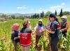 Salihli Jandarma Tütün Tarlasında Kadınlara KADES'i Anlattı